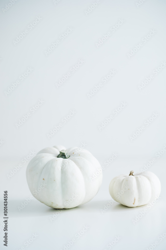 Fresh pumpkin isolated on white background. For Halloween, thanksgiving holiday and Autumn theme Fresh pumpkin isolated on white background. For Halloween, thanksgiving holiday and Autumn theme