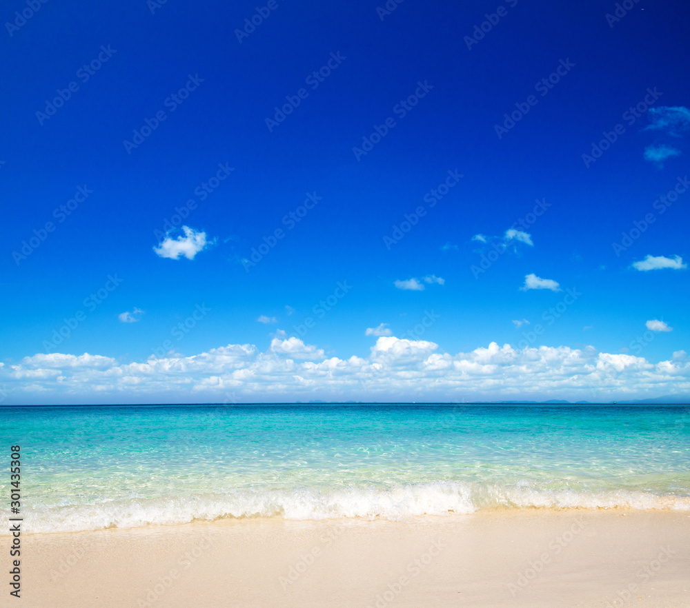 Fototapeta premium beautiful beach and tropical sea