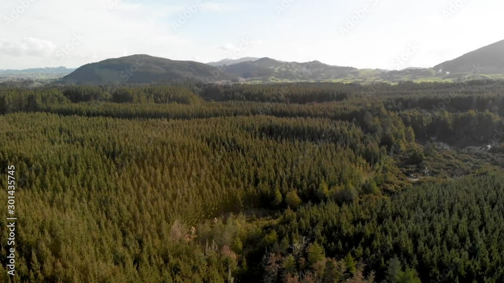 Panoramic aerial view of Kerosene Creek and surrounding forest - New Zealand Panoramic aerial view of Kerosene Creek and surrounding forest - New Zealand