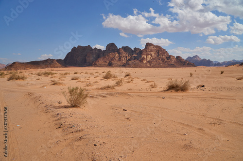 Tufts of dry grass in Wadi Rum desert, Jordan