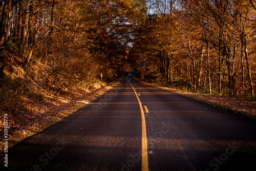 Vibrant colors in Blue Ridge Parkway roads during sunset at the Golden Hour