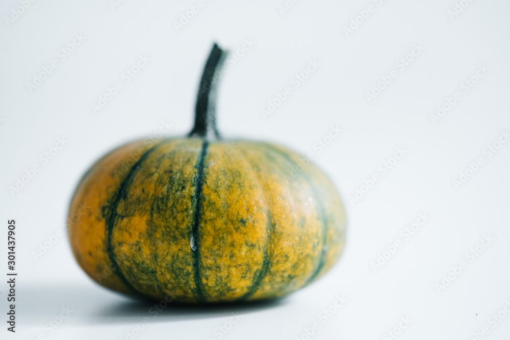 Fresh pumpkin isolated on white background. For Halloween, thanksgiving holiday and Autumn theme