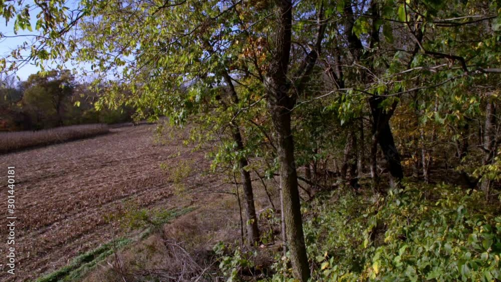 Deer hunting in the Midwest states of the United States. Deer hunting in the Midwest states of the United States.