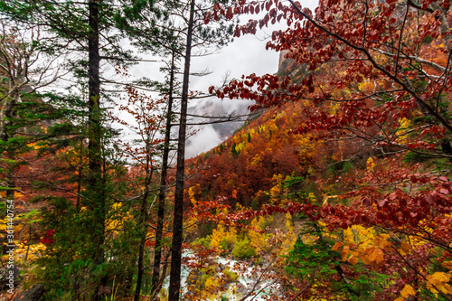 Autumn fall in Ordesa National Park photo