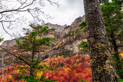 Autumn fall in Ordesa National Park photo