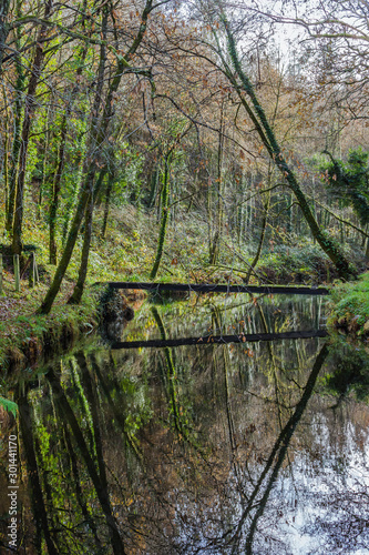 Fototapeta Naklejka Na Ścianę i Meble -  Tree reflections in the water of the river with an old bridge crossing