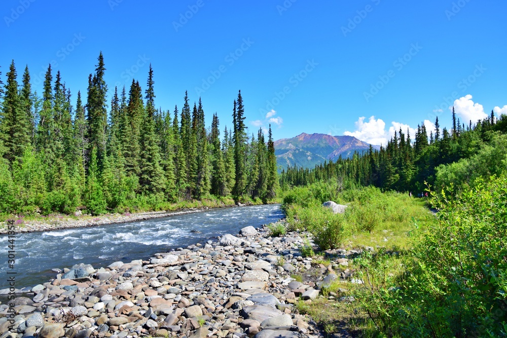 Triple Lakes Trail - Denali , Alaska