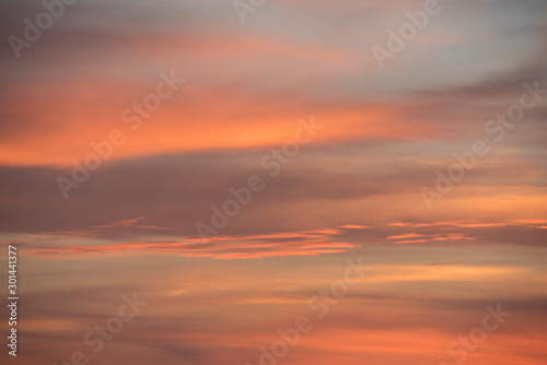 Pastel Sky © Tamara Watson