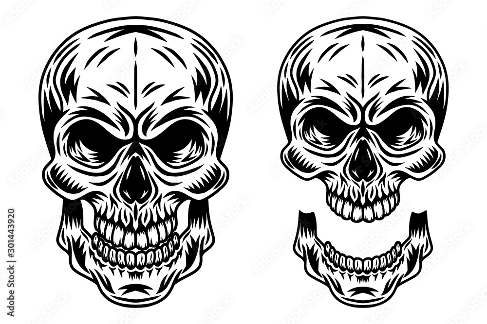 Obraz premium Vintage retro human skull and jaw isolated vector illustration on a white background. Design element.