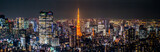 Night view of TOKYO JAPAN