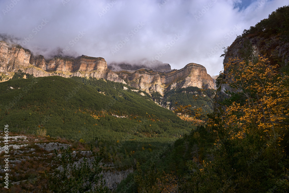 view of mountains with autumn forest
