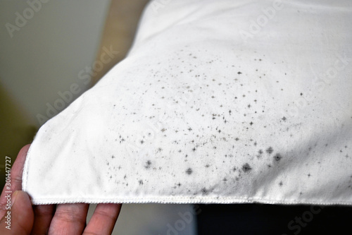 Foto Mold on pillow. Mold on fabric.