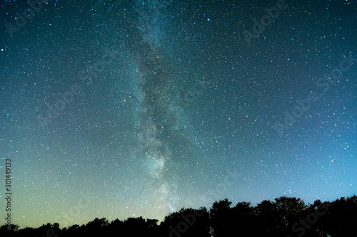 Galaxie Milchstraße über Wald in der Nacht