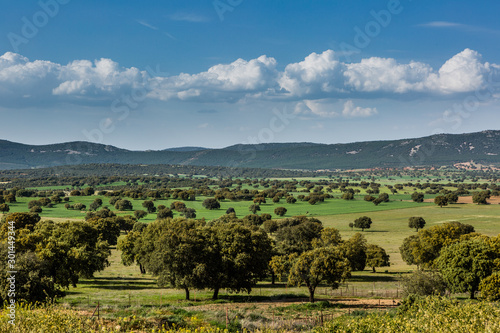 Landscape. Cabañeros National Park, Ciudad Real, Spain (Nature, horizontl photo)