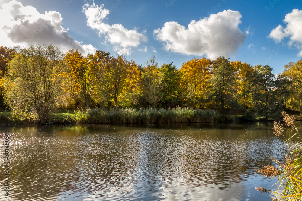 Teich Steinfurths Diek in Hamburg im Herbst Teich Steinfurths Diek in Hamburg im Herbst