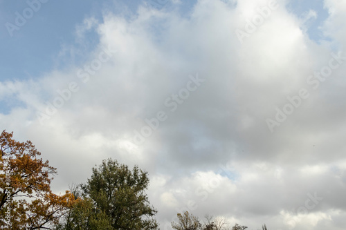 Beautiful autumn sky, greyy clouds above your head.