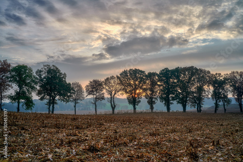 Poland, Autumn, around the village of Buczyniec - a field after harvesting maize photo