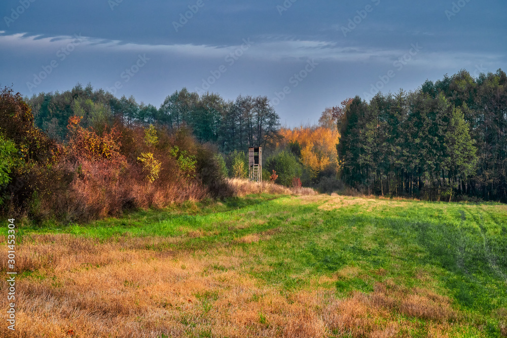 Poland, Autumn, around Buczyniec - hunting pulpit Poland, Autumn, around Buczyniec - hunting pulpit