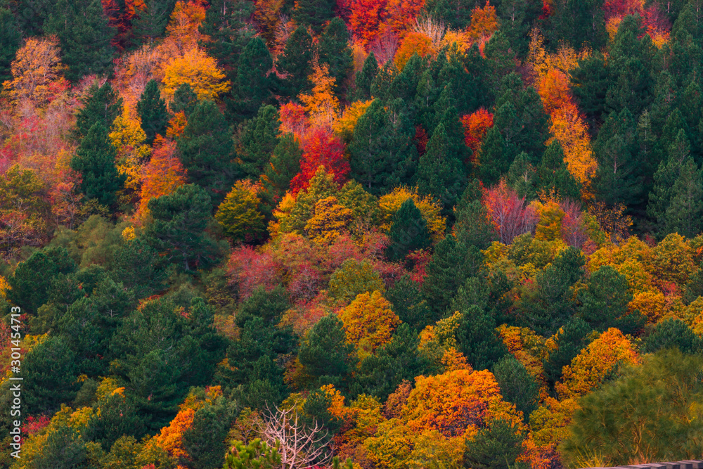Magic autumnal atmosphere in the mountain, colorful autumn landscape Magic autumnal atmosphere in the mountain, colorful autumn landscape