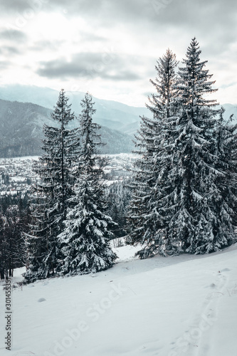 Bosque en invierno con pinos nevados en la montaña y pueblos de fondo