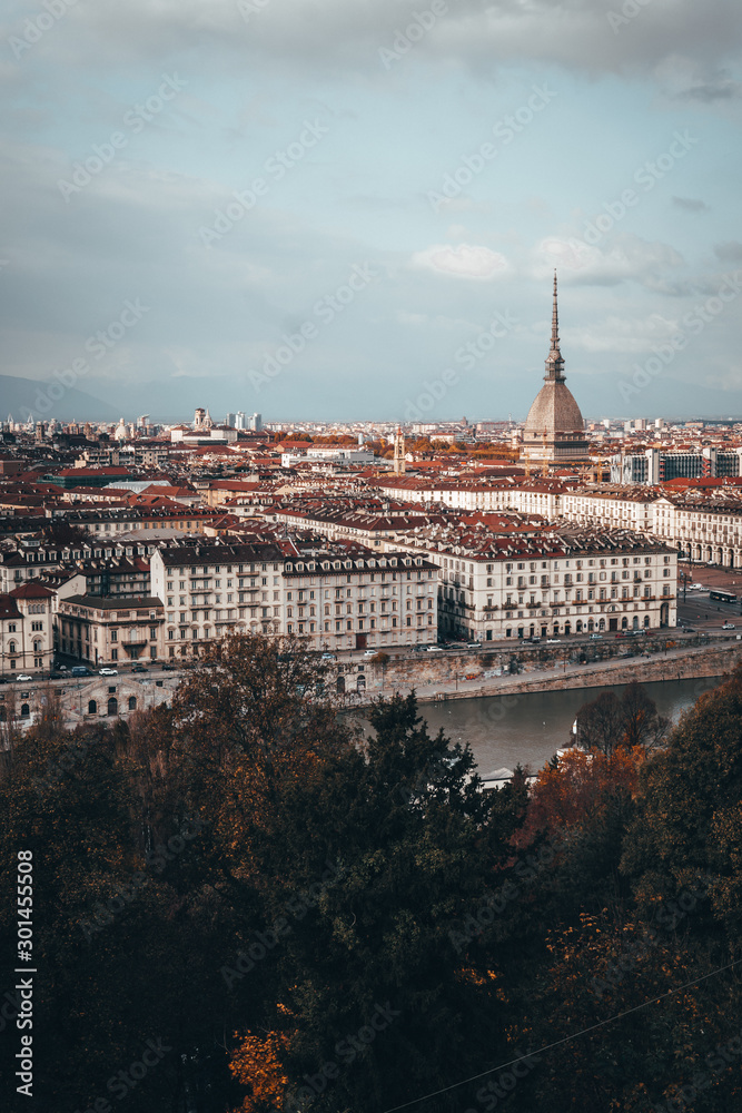 Paisaje de Turin en Italia de la ciudad con el río y edificios
