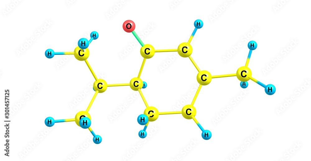 Piperitone molecular structure isolated on white Piperitone molecular structure isolated on white