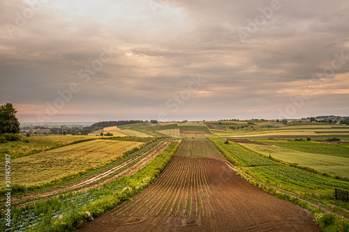 Polish agricultural countryside on a sunset © katarzynapracuch
