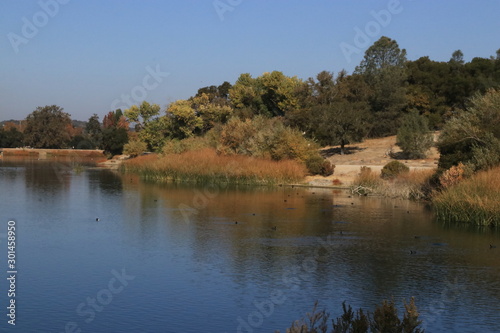 Fall at Atascadero lake