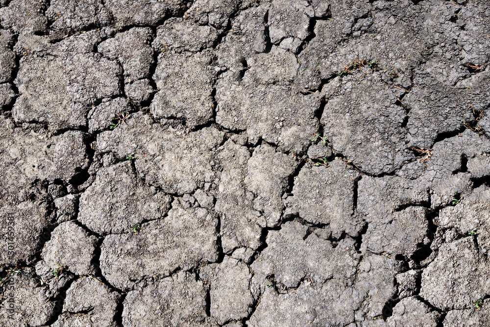 Climate change or drought concept. Natural background of the earth in cracks from the burning sun. Climate change or drought concept. Natural background of the earth in cracks from the burning sun.