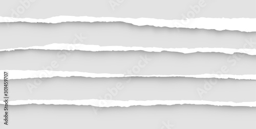 Torn sheets of paper. Set of torn paper. Paper waste.Vector graphic