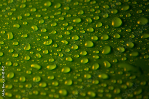 water drops on a plastic green background in the dark