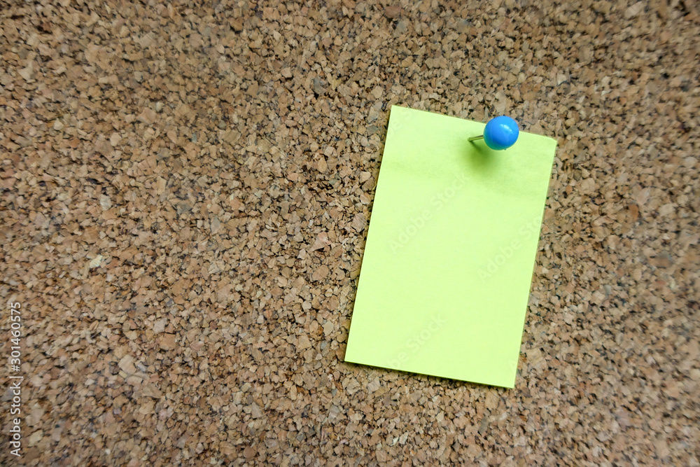 Adhesive Notes Adhesive Notes
