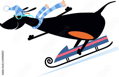 Cartoon dog rids on sledge illustration. Cartoon dachshund rides on sledge isolated on white illustration