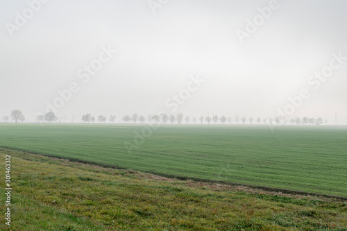 Morning landscape area in the fog