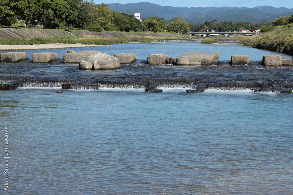 京都　鴨川　亀の飛び石
