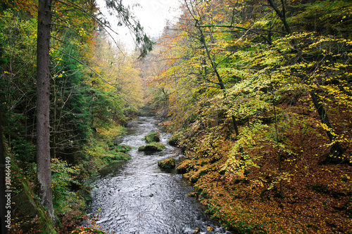 Autumn moments
