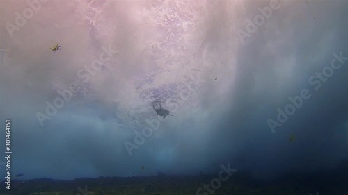 Sea Turtle. Green Turtle Swimming Through Dramatic Crashing Breaking Waves & Sunlit Sea Surface In Rough Blue Sea Water Reef. Graceful Beautiful Aquatic Marine Turtle & Marine Life Underwater