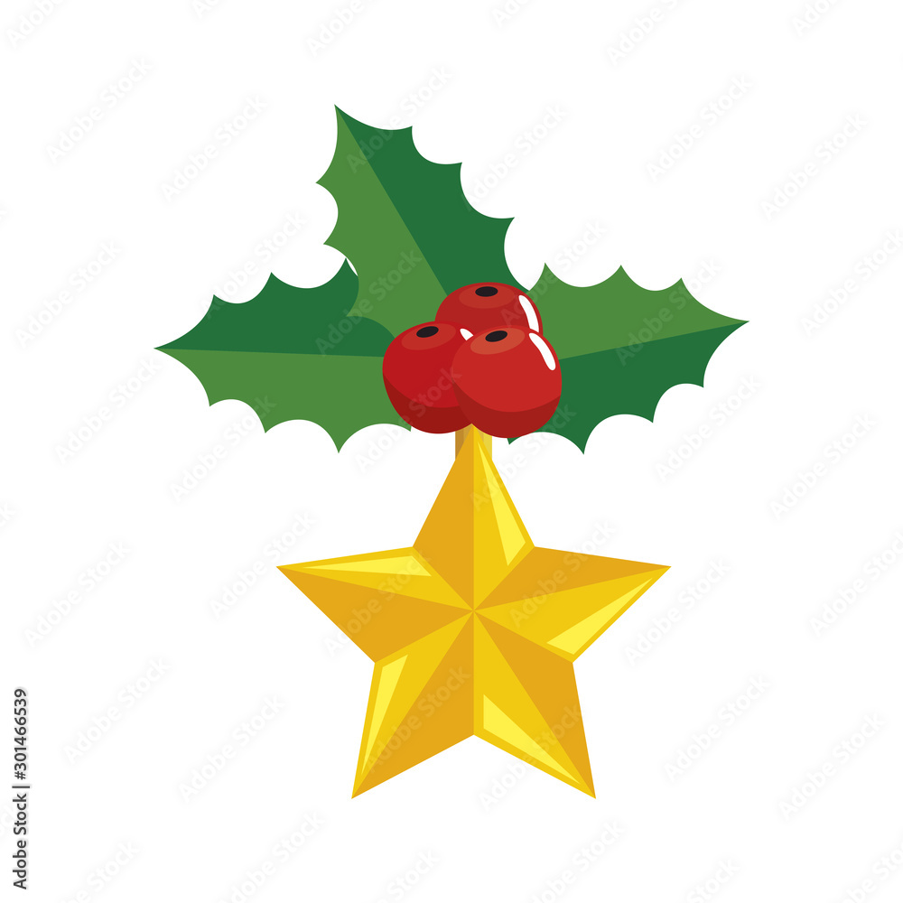 leafs with seeds decoration christmas with star vector illustration design leafs with seeds decoration christmas with star vector illustration design