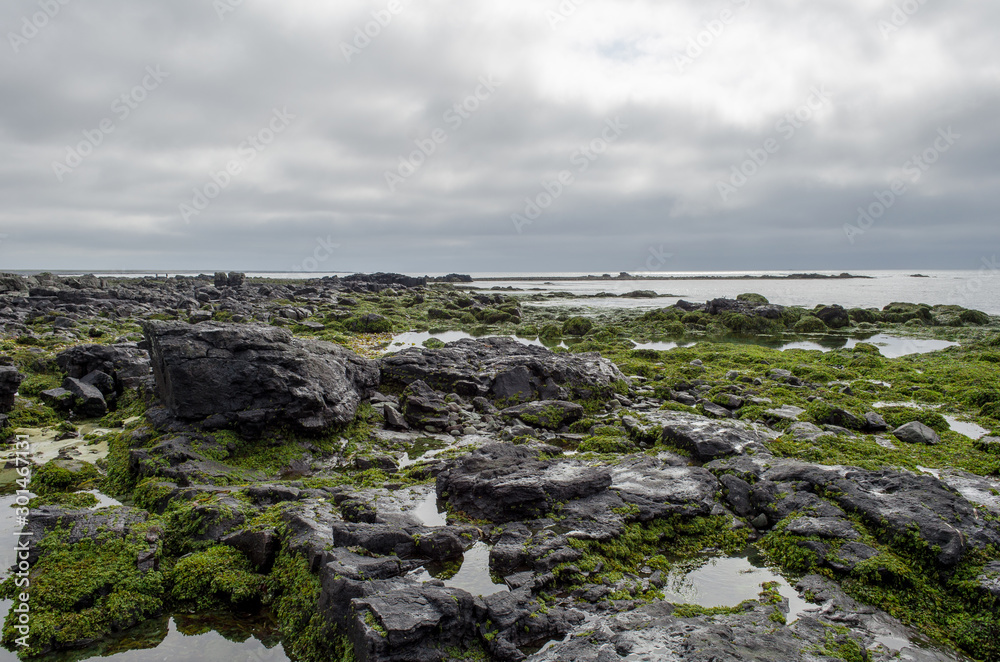 Ytri Tunga Beach, Iceland