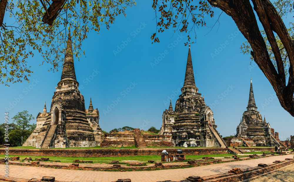 Tree branches framing old stupas of Wat Phra Si Sanphet Temple, ancient city of Ayutthaya, Thailand.