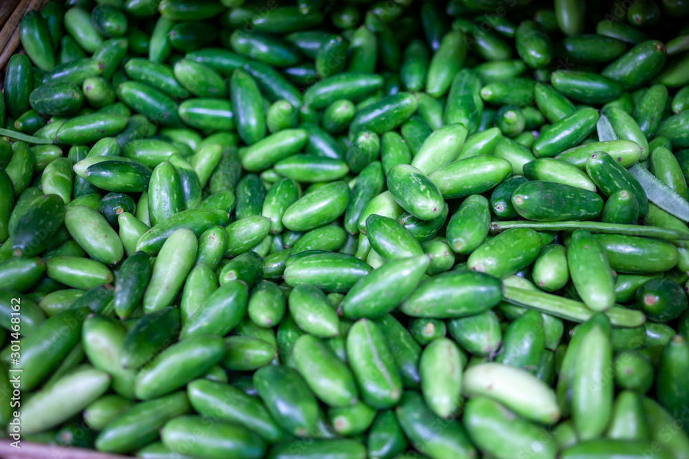A basket full of cucumbers. Nicely displayed at a market stand in Little India, Singapore. A basket full of cucumbers. Nicely displayed at a market stand in Little India, Singapore.