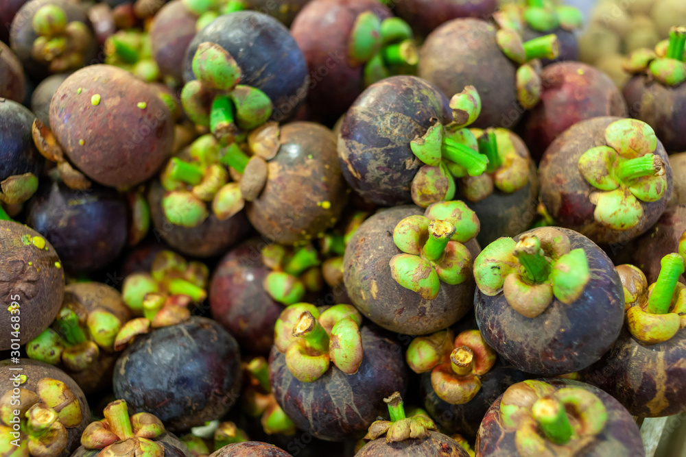 Pile of mangosteen, the queen of fruits. Those fruits are found all over South East Asia and are juicy and delicious. Pile of mangosteen, the queen of fruits. Those fruits are found all over South East Asia and are juicy and delicious.