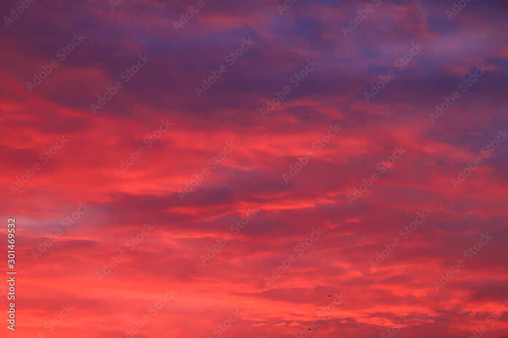 Beautiful red, pink feather clouds against the sky in sunrise in the morning. Picturesque magic background. Mystical  clouds. Landscape background for poster.