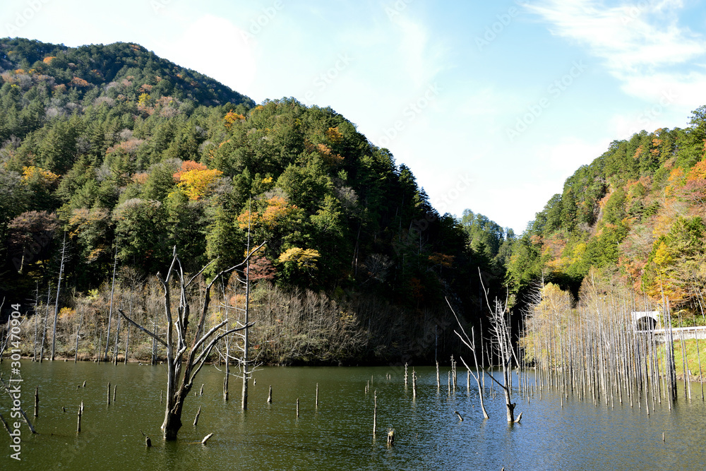 大滝村自然湖
