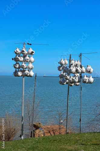 Nests for birds. Lorain Harbor, Ohio, USA photo