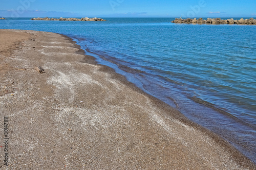 Sandy Shore Stormy Dreissen Mollusk Shells on Lake Erie  Ohio USA