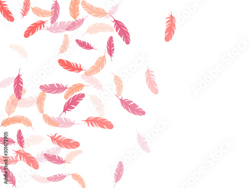 Flying feather elements airy vector design.