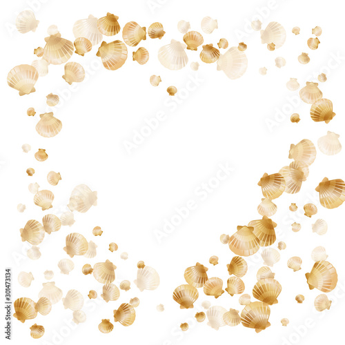 Cute scallop, bivalve pearl shell, marine mollusk isolated on white wild life nature background. 