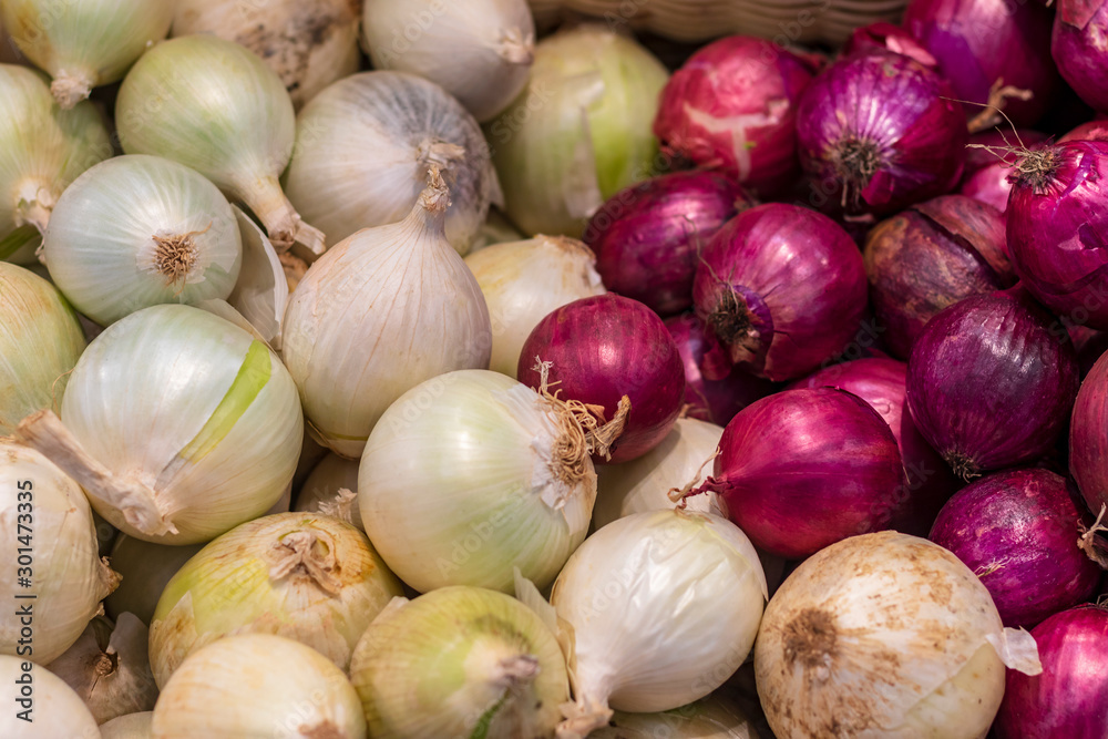 small shop. onions are on display. red and white. close-up. small shop. onions are on display. red and white. close-up.