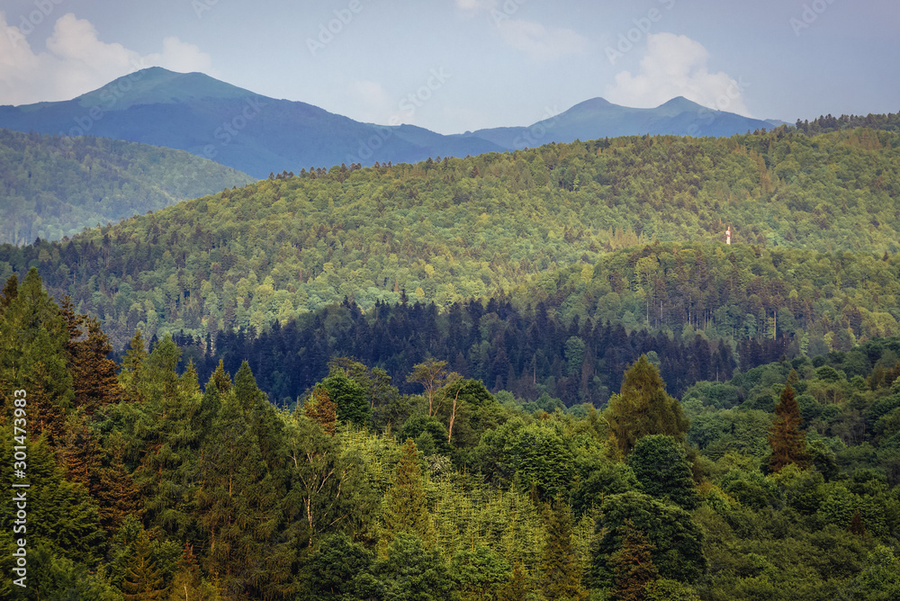 Bieszczady Mountains in Poland, view from tourist tower in Szczerbanowka village